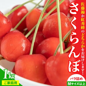 yӂ邳Ɣ[Łzځi   gG j1kg ƒp ʕ t[c R` Rs 0112-2603