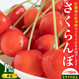 yӂ邳Ɣ[Łzځi   gG j1kg Gi ʕ t[c R` Rs 0112-2604