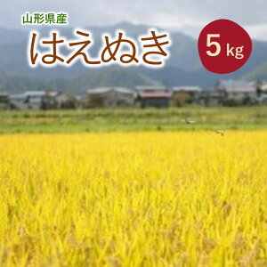 yӂ邳Ɣ[Łz2025N10`y R`Y zߘa7NY ͂ʂ 5kg  R` Rs 0120-2509