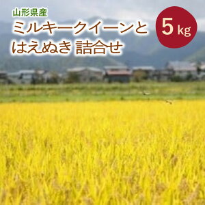 yӂ邳Ɣ[Łz2025N10` ߘa7NY ~L[NC[  ͂ʂ l 5kg  R` Rs 0120-2510