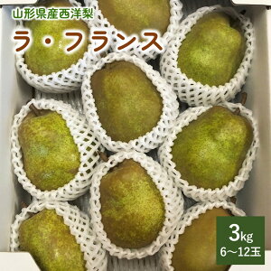 yӂ邳Ɣ[Łzmi EtX j3kg ƒp t[c R` Rs 0137-2501