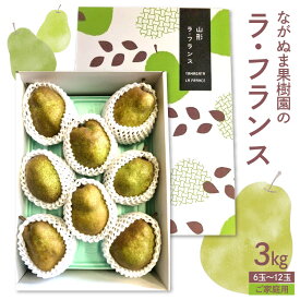 【ふるさと納税】西洋梨（ ラ・フランス ）3kg ご家庭用 フルーツ 山形県 上山市 0137-2601