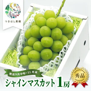 yӂ邳Ɣ[Łz RsY VC}XJbg 1[ 650g`750g t[c Ԃǂ R` Rs 0140-2504