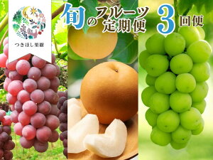 yӂ邳Ɣ[Łzy  FS3z{  t[c  ( LOf A a A VC}XJbg ) ʕ Ԃǂ  R` Rs 0140-2601