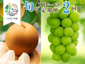 yӂ邳Ɣ[Łzy  FS2z{  t[c  ( a A VC}XJbg ) ʕ Ԃǂ  R` Rs 0140-2602