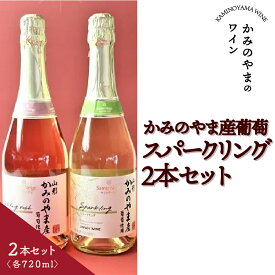 【ふるさと納税】サントネージュ スパークリング かみのやま産 葡萄 2本 セット 720ml ギフト箱 ワイン 辛口 日本ワイン スパークリングワイン お取り寄せ 送料無料 山形県 上山市 0141-2609