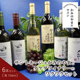 【ふるさと納税】サントネージュかみのやま と タケダワイナリー の ワクワク セット 750ml × 6本 ワイン 赤ワイン 白ワイン 日本ワイン お取り寄せ 産地直送 送料無料 山形県 上山市 0141-2413