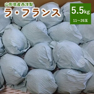 yӂ邳Ɣ[Łzm iEtXj 5.5kg ƒp TCY ʕ t[c Yn R` mȂ   R` Rs 0142-2513