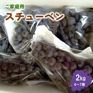 yӂ邳Ɣ[Łz Ԃǂ ( X`[x ) 2kg ƒp 4`7[ ʕ t[c Yn R`   R` Rs 0142-2505