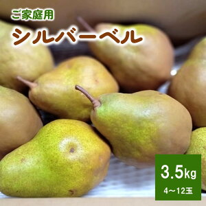 yӂ邳Ɣ[Łzm iVo[xj 3.5kg ƒp TCY ʕ t[c Yn R` mȂ   R` Rs 0142-2515