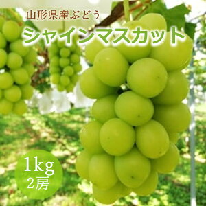yӂ邳Ɣ[Łzy㊮nz VC}XJbg 1kg iĒj t[c ʕ Ԃǂ R` Yn   R` Rs 0148-2512