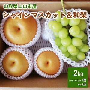 yӂ邳Ɣ[Łzyցz n VC}XJbg  a Zbg ijʕ t[c aȂ Ԃǂ lߍ킹  R` Yn  R` Rs 0148-2509