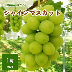 yӂ邳Ɣ[Łzy㊮nz VC}XJbg 1[ iĒj t[c ʕ Ԃǂ R` Yn   R` Rs 0148-2511