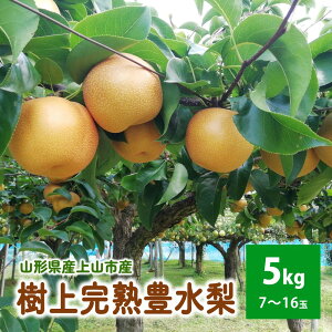 yӂ邳Ɣ[Łzy㊮nz a u L v 5kg 7`16 () ʕ t[c aȂ  R` Yn  R` Rs 0148-2504
