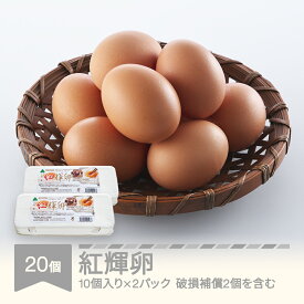 【ふるさと納税】自然平飼 紅輝卵 (10個入りパック×2) ※破損補償2個を含む 卵 たまご 半澤鶏卵 hk-egkkx20 送料無料 ※沖縄・離島への配送不可