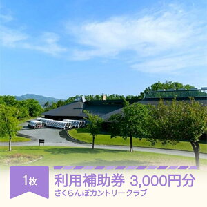 yӂ邳Ɣ[ŁzڃJg[Nu Stv[p⏕ 3000~ St St 厩R StK Mtg