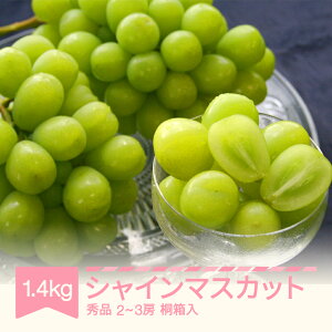 yӂ邳Ɣ[Łzys\z VC}XJbg Gi ˔ 1.4kg ߘa7NY 2025NY ʕ  Eւ̔zs mm-busmk3