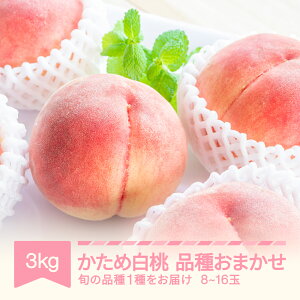 yӂ邳Ɣ[Łzys\zߔ܂   i킨܂ 3kg ߘa8NY 2026NY ʕ mm-mokox3000  Eւ̔zs