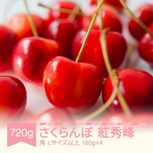 yӂ邳Ɣ[Łzys\z2026NY  gG 720g (180g×4) G LTCYȏ R`Y t[c ʕ  TN{  Eւ̔zs sb-bsslx800
