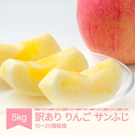 【ふるさと納税】【先行予約】訳あり りんご サンふじ 約5kg(10～20個程度) 令和8年産 2026年産 sb-risfw5