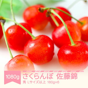 yӂ邳Ɣ[Łzys\z2026NY ߘa8NY  1080g LTCYȏ 180g×6 R`Y t[c ʕ  TN{ Eւ̔zs sb-snslx1200