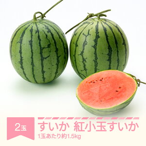 yӂ邳Ɣ[Łzys\z gʂ Gi 2  smK[ ߘa8NY 2026NY XCJ ʕ  Eւ̔zs no-subkx2