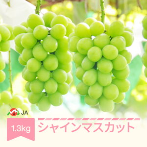 yӂ邳Ɣ[Łzys\z Ԃǂ uhE VC}XJbg ߘa7NY 2025NY 1.3kg ʕ 