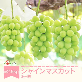 【ふるさと納税】【先行予約】 ぶどう ブドウ シャインマスカット 令和8年産 2026年産 約2.5kg 2~4房 果物 送料無料