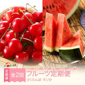 �y�ӂ邳�Ɣ[�Łz�y��s�\��z�t���[�c����� �������� ������ ������ �S2�� �ʕ� �t���[�c 2026�N�Y �R�`���Y ja-ft2sx