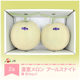 【ふるさと納税】温室メロン 令和6年産 2024年産 アールスナイト 2玉 優 約4kg 果物 送料無料