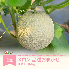 【ふるさと納税】【先行予約】温室メロン 品種おまかせ 令和8年産 2026年産 2玉 優以上 約4kg 果物 村山市産 送料無料 ja-meoxx4 ※沖縄・離島への配送不可