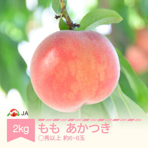 yӂ邳Ɣ[Łzys\z    2kg Gȏ (6`8) ߘa8NY 2026NY R`RsY ʕ t[c 