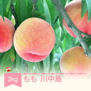 yӂ邳Ɣ[Łzys\z  쒆 2kg ߘa8NY 2026NY ʕ  Eւ̔zs ja-moknx2-b