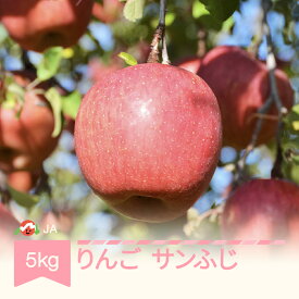 【ふるさと納税】りんご サンふじ 約5kg 秀 令和6年産 2024年産 果物 送料無料