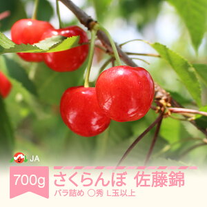 yӂ邳Ɣ[Łzys\z   GLʈȏ 700go 2026NY ߘa8NY ʕ ʎ t[c 