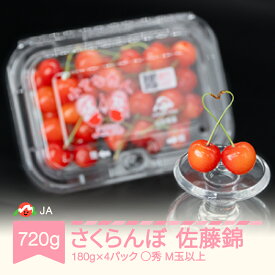 【ふるさと納税】【先行予約】 さくらんぼ 佐藤錦 ◯秀 M玉以上 180g×4パック 計720g フードパック 2027年産 令和9年産 果物 果樹 フルーツ 送料無料