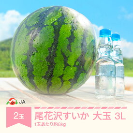 【ふるさと納税】【先行予約】 大玉 すいか スイカ 3L×2玉入り 令和8年産 2026年産 尾花沢すいか 果物 送料無料