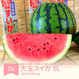 【ふるさと納税】先行予約 すいか 大玉 5L×2玉入り 令和8年産 山形県村山市産 送料無料 ※沖縄・離島への配送不可 mk-suoox10