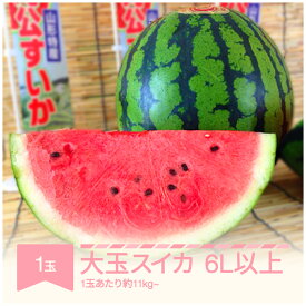 【ふるさと納税】先行予約 すいか 大玉 6L×1玉入り 令和8年産 山形県村山市産 送料無料 mk-suoox11 ※沖縄・離島への配送不可