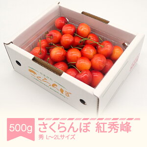 yӂ邳Ɣ[Łzys\z  gG Gi L-2L 500g×1pbN ol 2026NY ߘa8NY R` 
