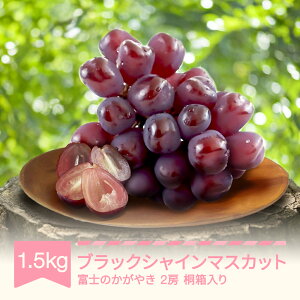 yӂ邳Ɣ[Łzys\z Ԃǂ uhE ubNVC}XJbg xm̂₫ 1.5kg 2[ 2025NY ߘa7NY R`Y Eւ̔zs