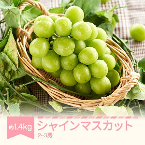 yӂ邳Ɣ[Łzys\zԂǂ uhE VC}XJbg 1.4kg 2~3[ 2026NY ߘa8NY R`Y  Eւ̔zs mm-busmx3