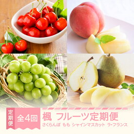 【ふるさと納税】【先行予約】 楓 フルーツ 定期便 山形 2026年産春始まり さくらんぼ 佐藤錦 桃 もも シャインマスカット ラ・フランス 全4回 フルーツ定期便 送料無料 ※沖縄・離島への配送不可