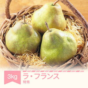 yӂ邳Ɣ[Łzys\z EtX m tX 3kg Gi Mtg  ˔ ߘa7NY 2025NY ʕ R`Y Eւ̔zs mm-latsx3