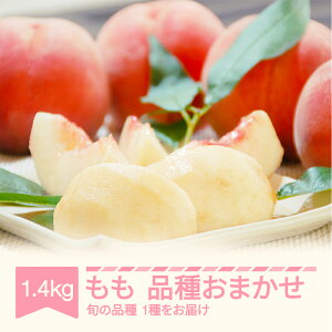 yӂ邳Ɣ[Łzys\z   i킨܂ 1.4kg 2025NY R`Y ߘa7NY Eւ̔zs