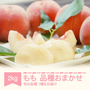 yӂ邳Ɣ[Łzys\z   i킨܂ 2kg ߘa7NY 2025NY R`Y ߘaNY Eւ̔zs