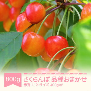 yӂ邳Ɣ[Łzys\z  i킨܂ ԏG 400g×2 ol L-2LTCY 2026NY ߘa8NY R`Y 