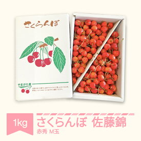 【ふるさと納税】 さくらんぼ 佐藤錦 赤秀 M玉 1kg バラ詰 2024年産 令和六年産 山形県産