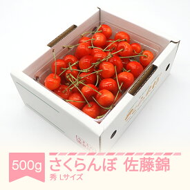 【ふるさと納税】【先行予約】 さくらんぼ 佐藤錦 秀品 L玉 500g×1パック バラ詰 2026年産 令和8年産 山形県産 送料無料
