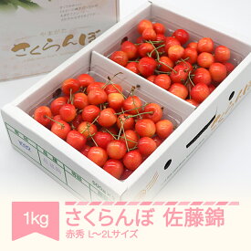 【ふるさと納税】 さくらんぼ 佐藤錦 赤秀 500g×2パック 1kg L-2L玉 バラ詰 ご家庭用 2026年産 令和8年産 山形県産 送料無料